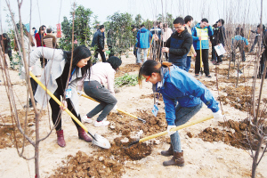 Nanyang residents spring to action to plant trees