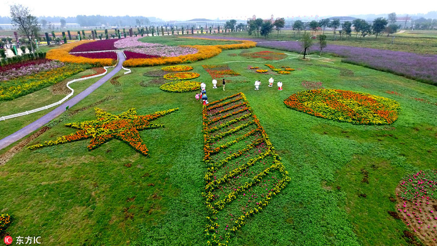 Henan's huge flower field spreads its scent far and wide