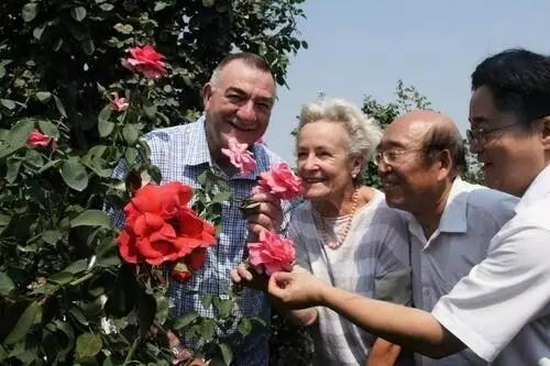 Central China wins int’l rose show bid