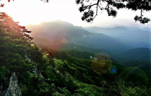 Nanyang reserve granted Forest Oxygen Bar distinction