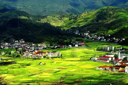 Nanyang villages win national honor