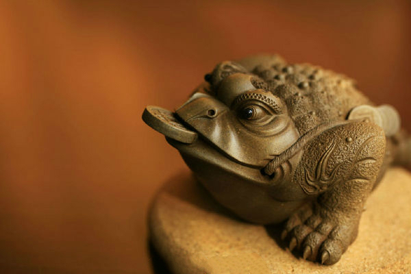Culture Insider: How to raise your own tea pets
