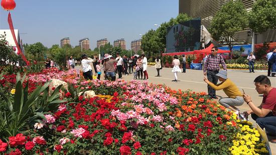 Nanyang aspires to be world-famous city of roses
