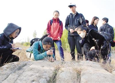 Petroglyphs in Nanyang reveal secrets of prehistoric civilization
