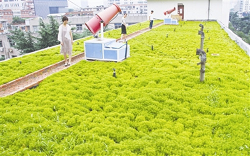 Green roofs to make Nanyang a garden city