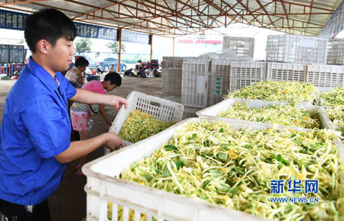 Nanyang is the top national organic agricultural producer
