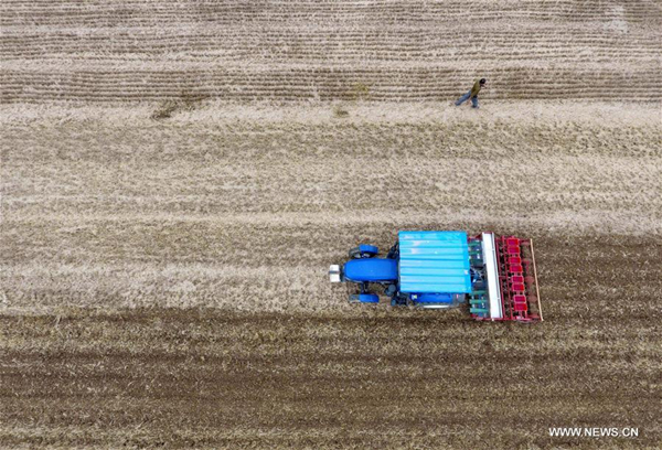 In pics: field sowing in central China's Henan