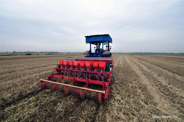 In pics: field sowing in central China's Henan