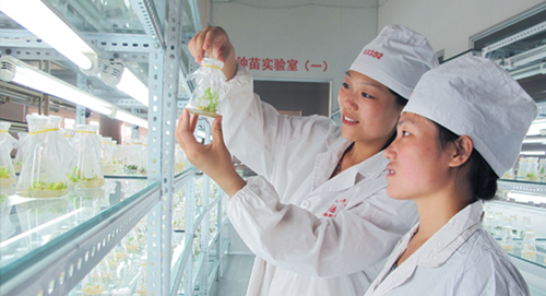 Zhongjing Wanxi Pharmaceutical recognized with national honor