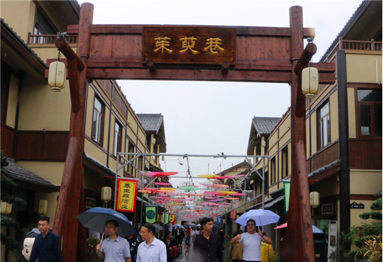 Zhongjing Well-Being Town opens in Xixia