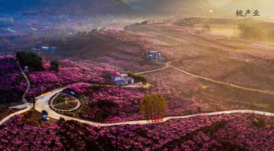 Nanyang named 'National Forest City'