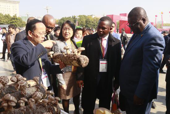 Xixia mushrooms draws great attention of BRI countries