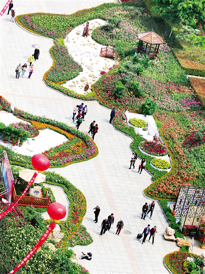 Ninth Chinese rose exhibition to open